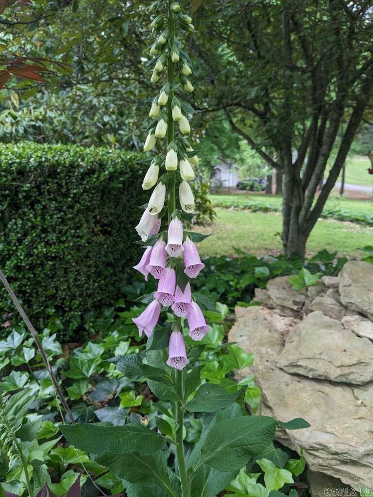 Rolling Hills - Residential