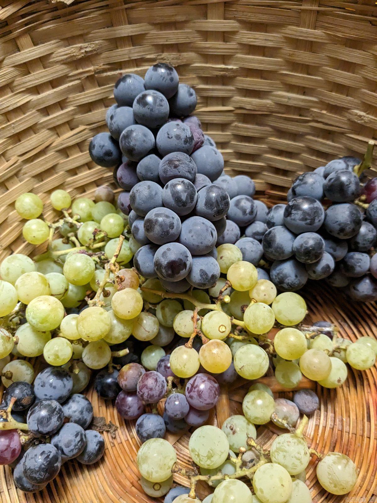 Rolling Hills - Residential