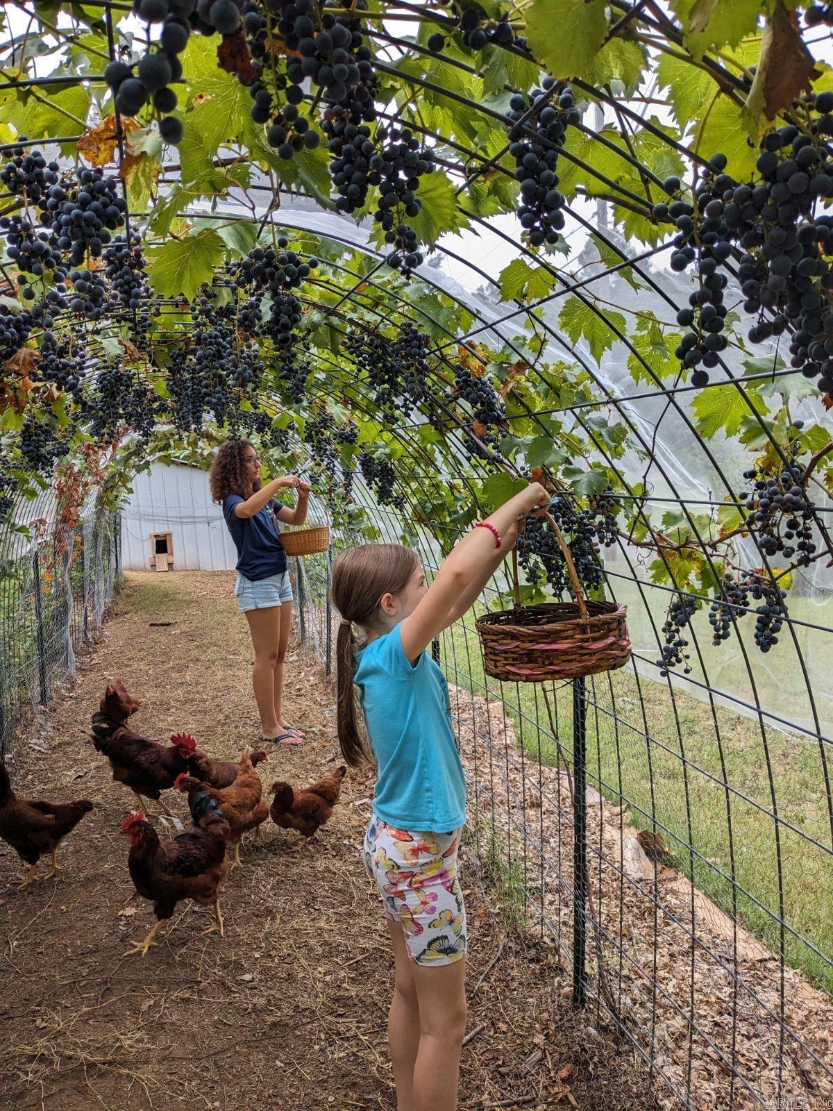 Rolling Hills - Residential