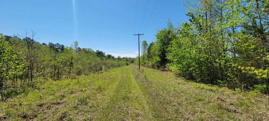 40 acres! No neighbors if your choose! Put your home on the backside of this land or turn it into hunting grounds or just go mud riding! This land can be anything you like. No restrictions is the key!