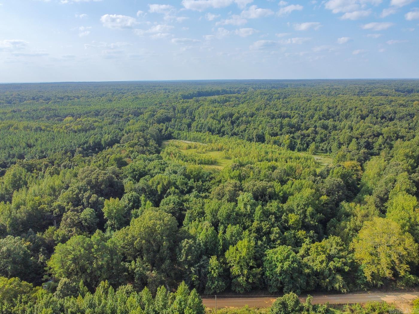 Welcome to Market 2916 SFC #361 of Colt, Arkansas within St. Francis County. 2 parcels containing 19.1 +/- acres of nature's bounty on Crowley's Ridge. The possibilities are plenty with acres of mature timberland, clearing, and trails. You'll love the wildlife, scenic views, and proximity to Wynne, Forrest City, the LāAnguille River, Village Creek State Park, and U of A Pine Tree Experimental Station WDA. Whether you're looking for a private getaway, outdoor adventure, or future homestead, this property delivers. Call today to make an investment in tomorrow and lay claim on this gem in the Natural State.