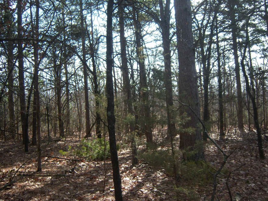 02263 If you are looking for the place to build your next home look no longer. There are two five acre parcels that has everything you need for the perfect building spot and located only minutes from town. There is a gentle slope up to the back of the property then it levels off for a nice building spot. There is a good number of 16-20" DBH pine trees along the back of the property that you cut and have your own lumber cut to build your home. There is also a good amount of native stone that you could accent your house with. There is power and water along the road in front of the property. Don't let this nice property get by you. $32500