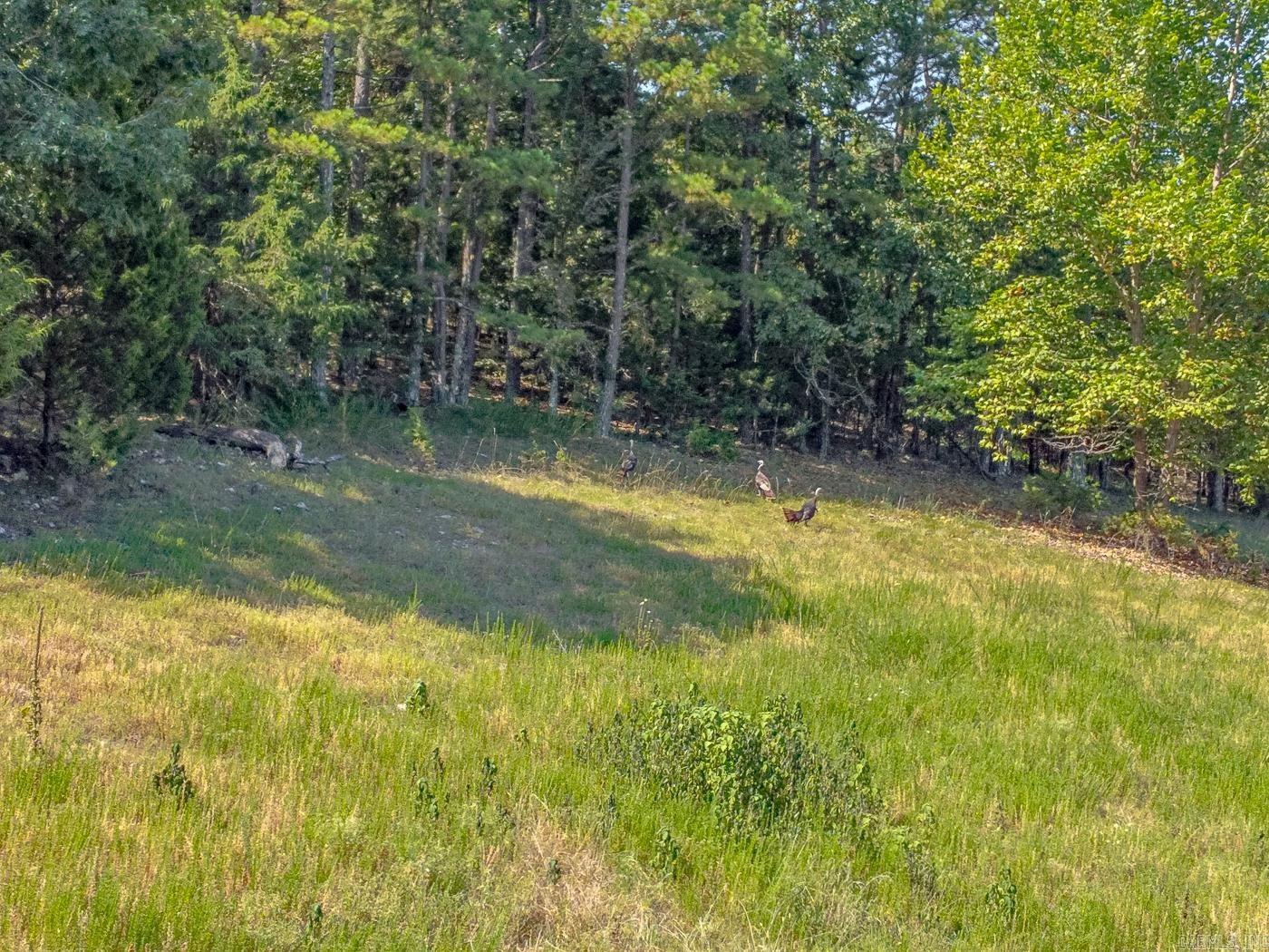 Metes & Bounds - Farm