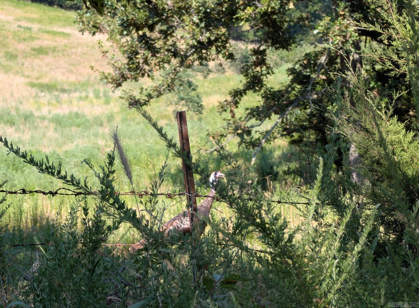 Metes & Bounds - Farm