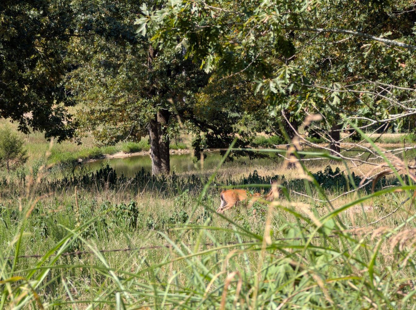 Metes & Bounds - Farm