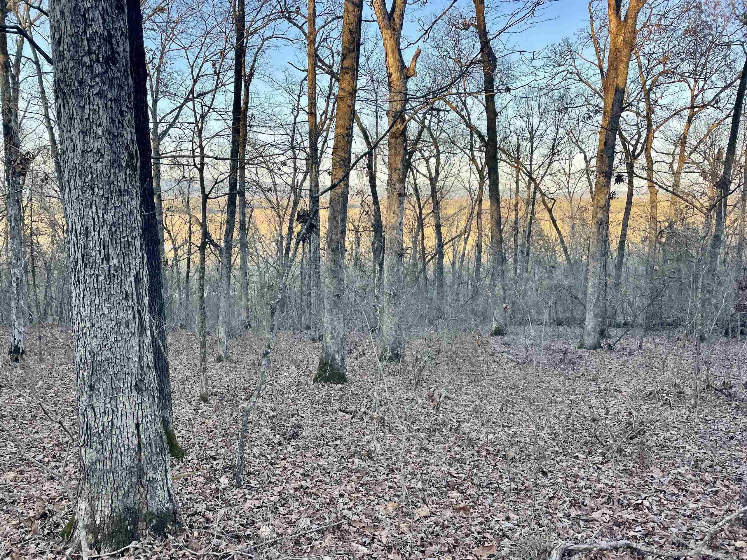 Not in Subdivision - Land