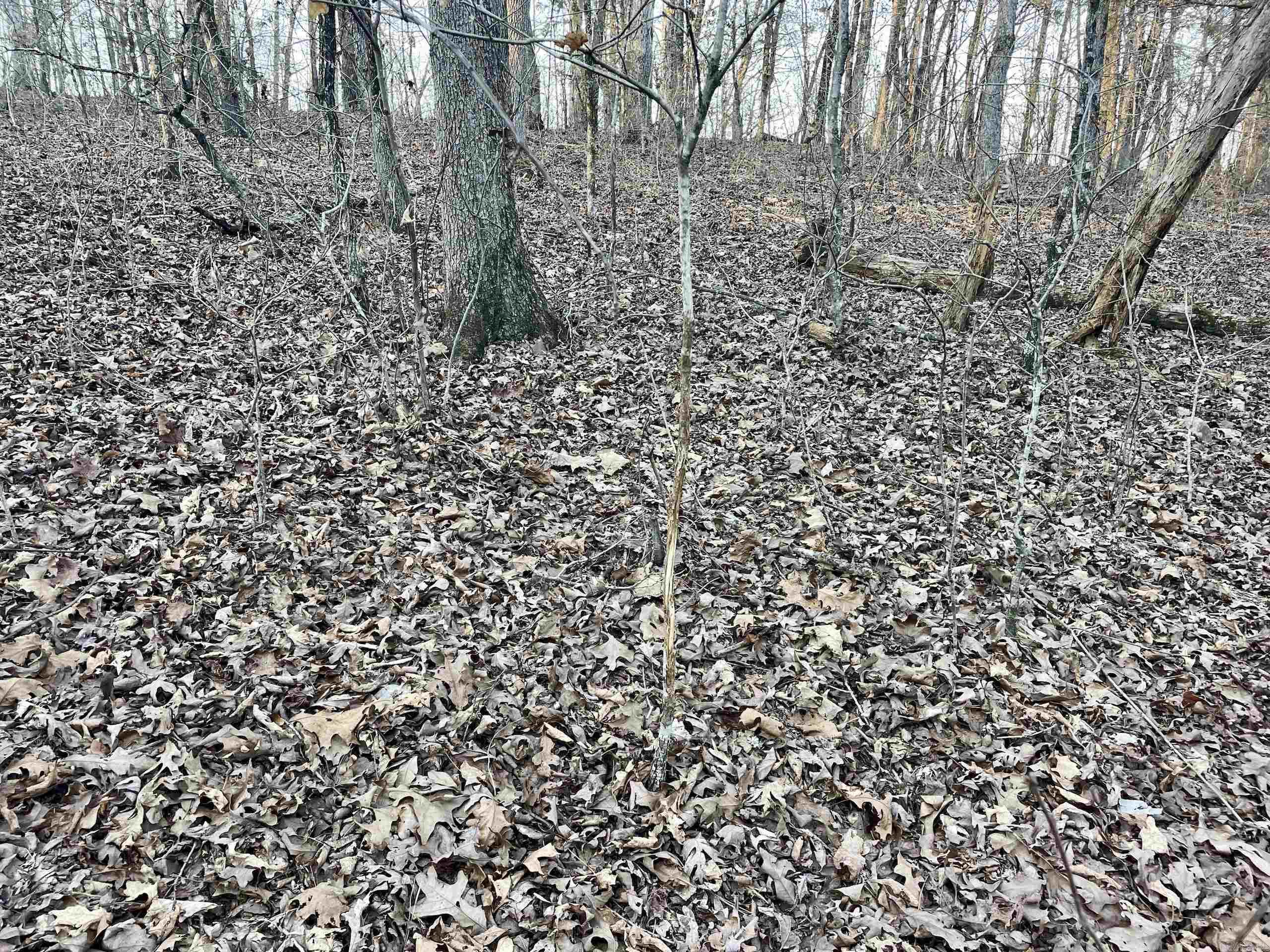 Not in Subdivision - Land