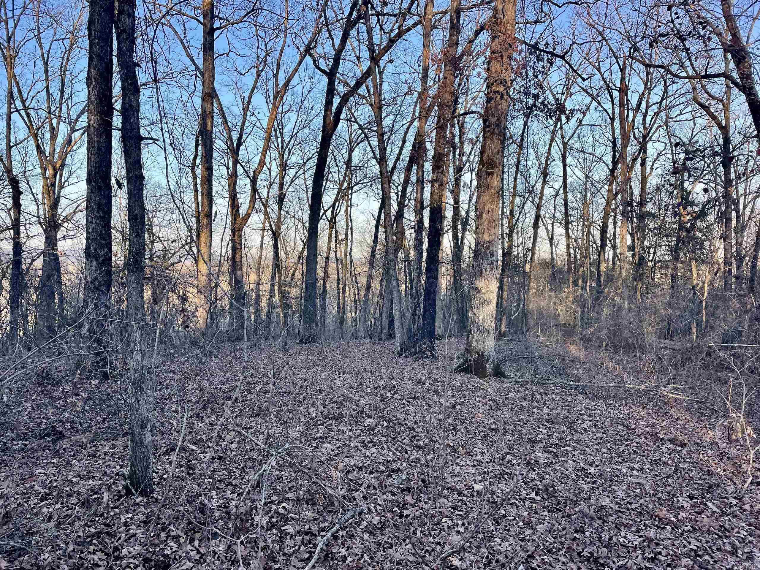 Not in Subdivision - Land