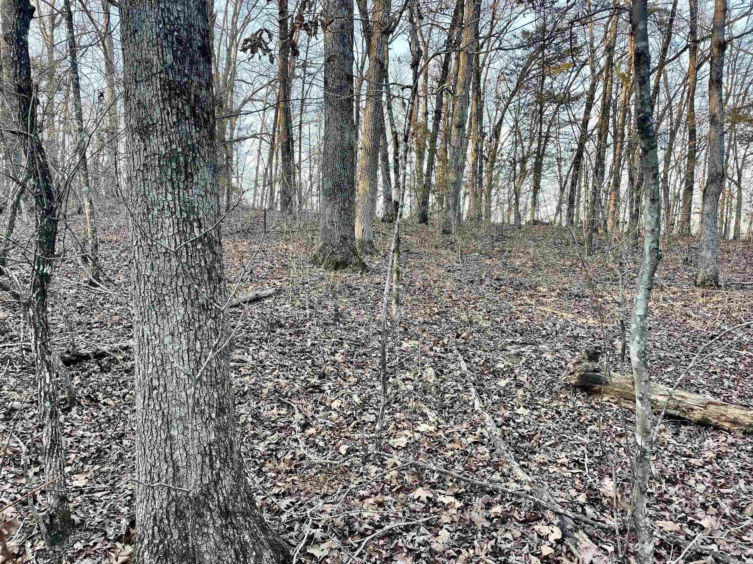 Not in Subdivision - Land