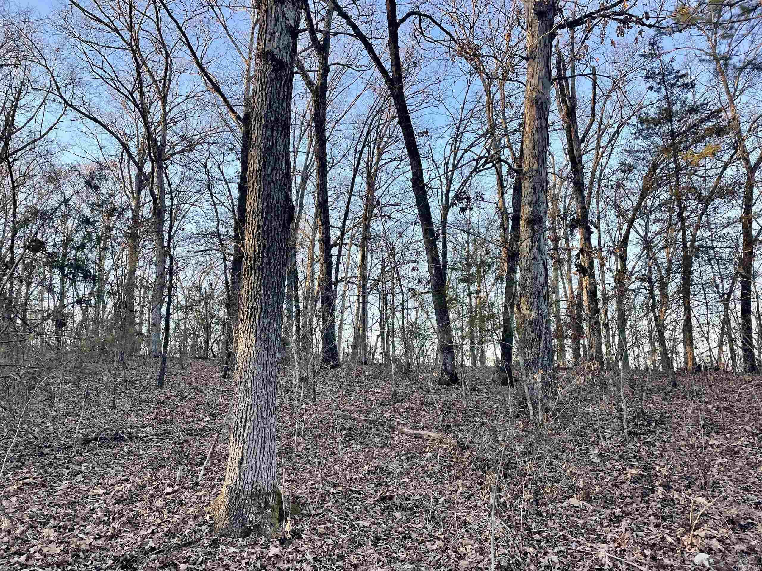 Not in Subdivision - Land