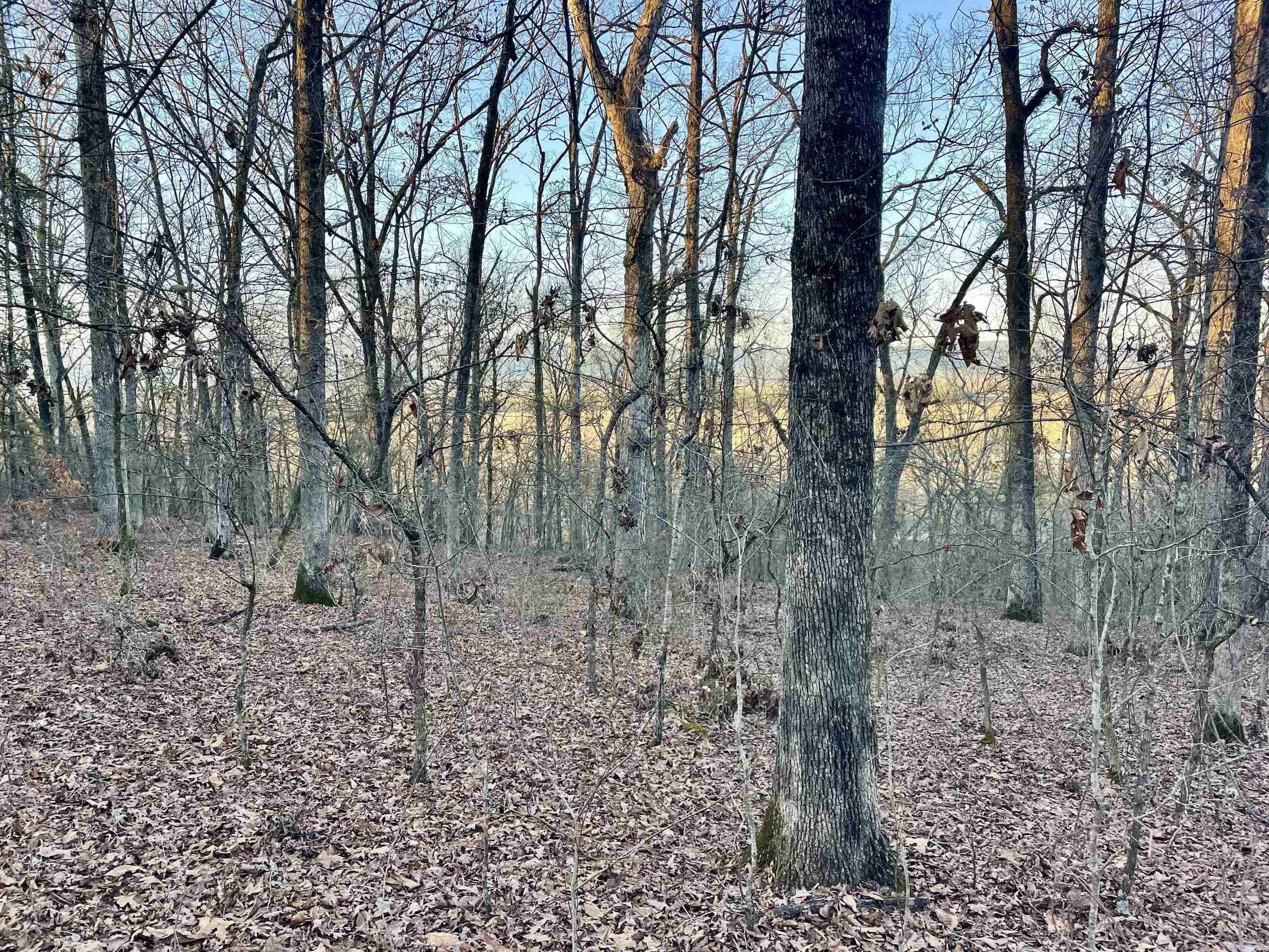 Not in Subdivision - Land