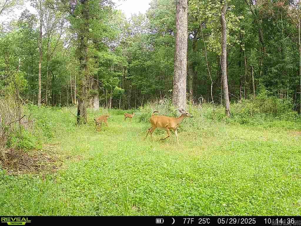 Metes & Bounds - Land