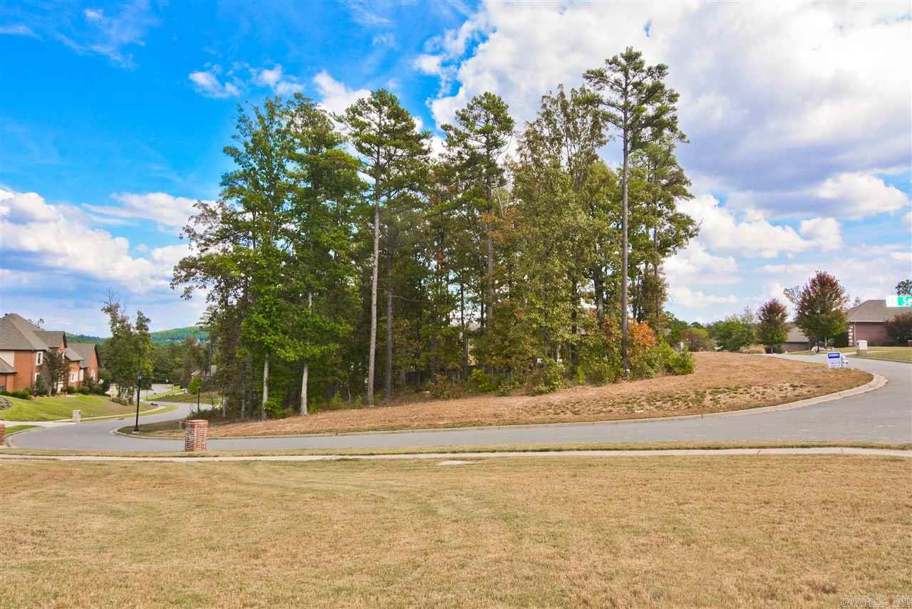 CHENAL VALLEY SEZANNE COURT - Land