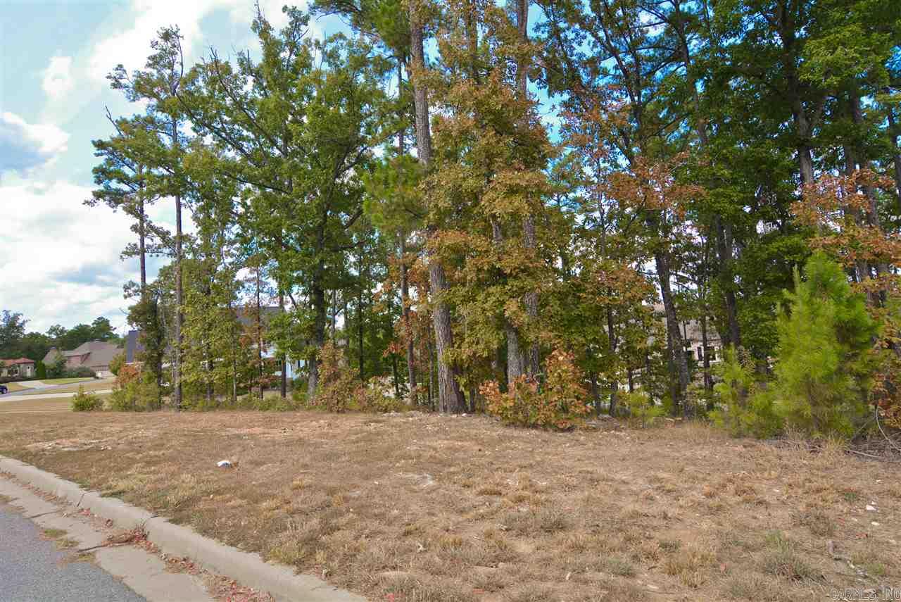 CHENAL VALLEY SEZANNE COURT - Land