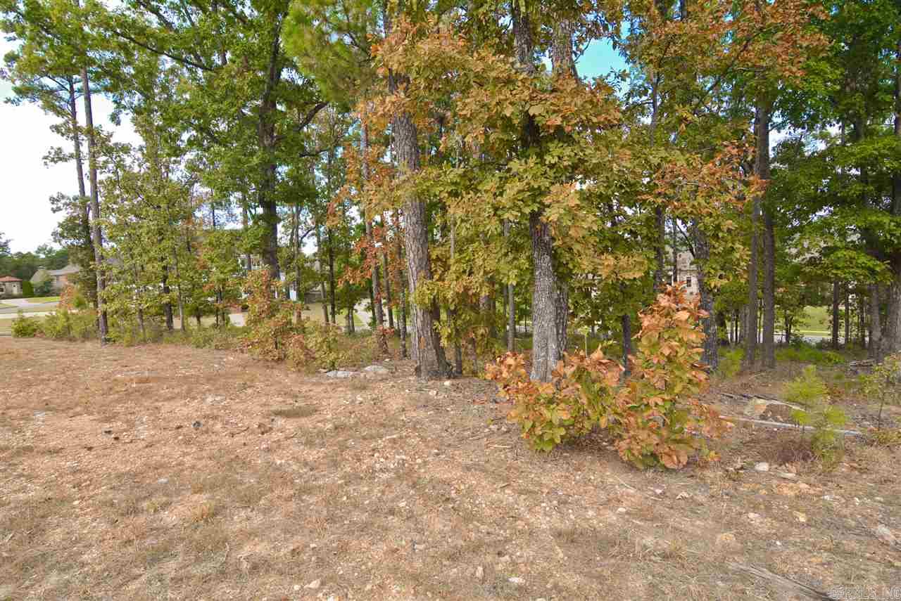 CHENAL VALLEY SEZANNE COURT - Land