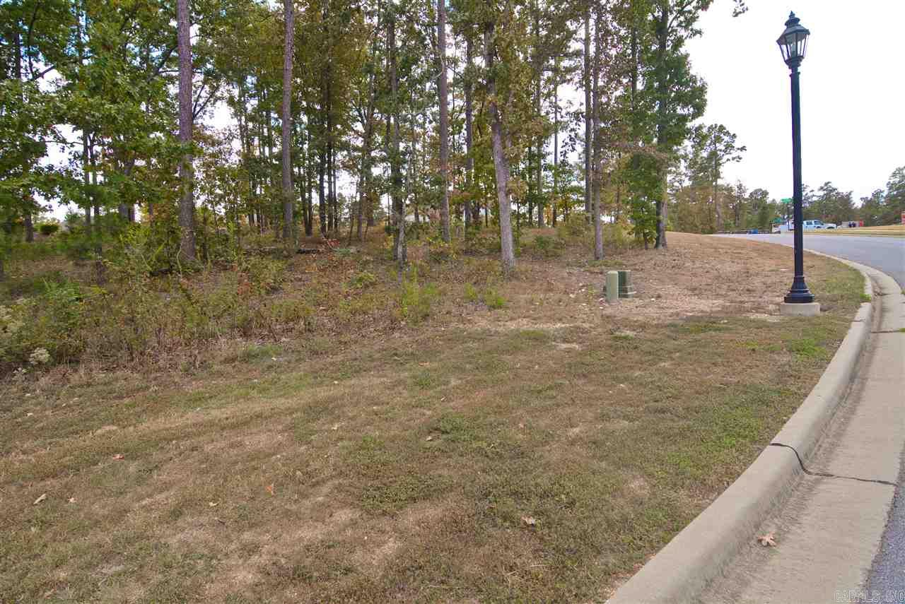 CHENAL VALLEY SEZANNE COURT - Land