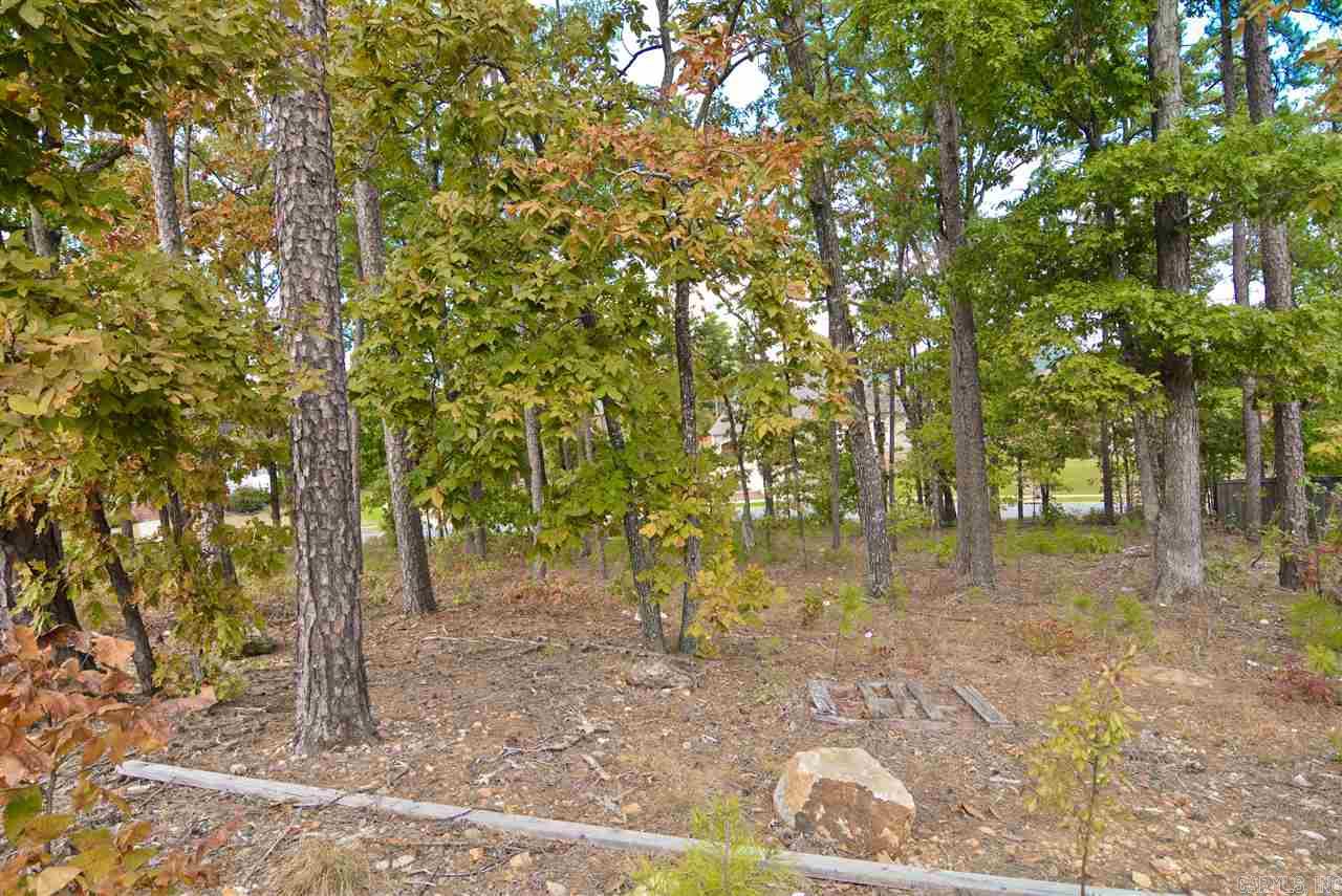 CHENAL VALLEY SEZANNE COURT - Land