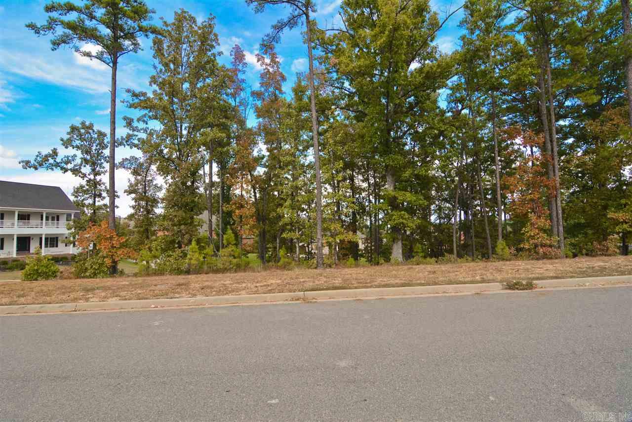 CHENAL VALLEY SEZANNE COURT - Land