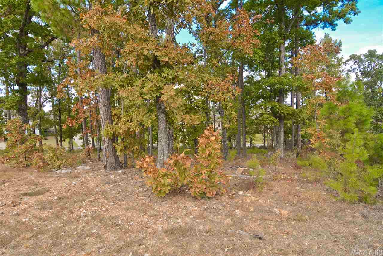 CHENAL VALLEY SEZANNE COURT - Land