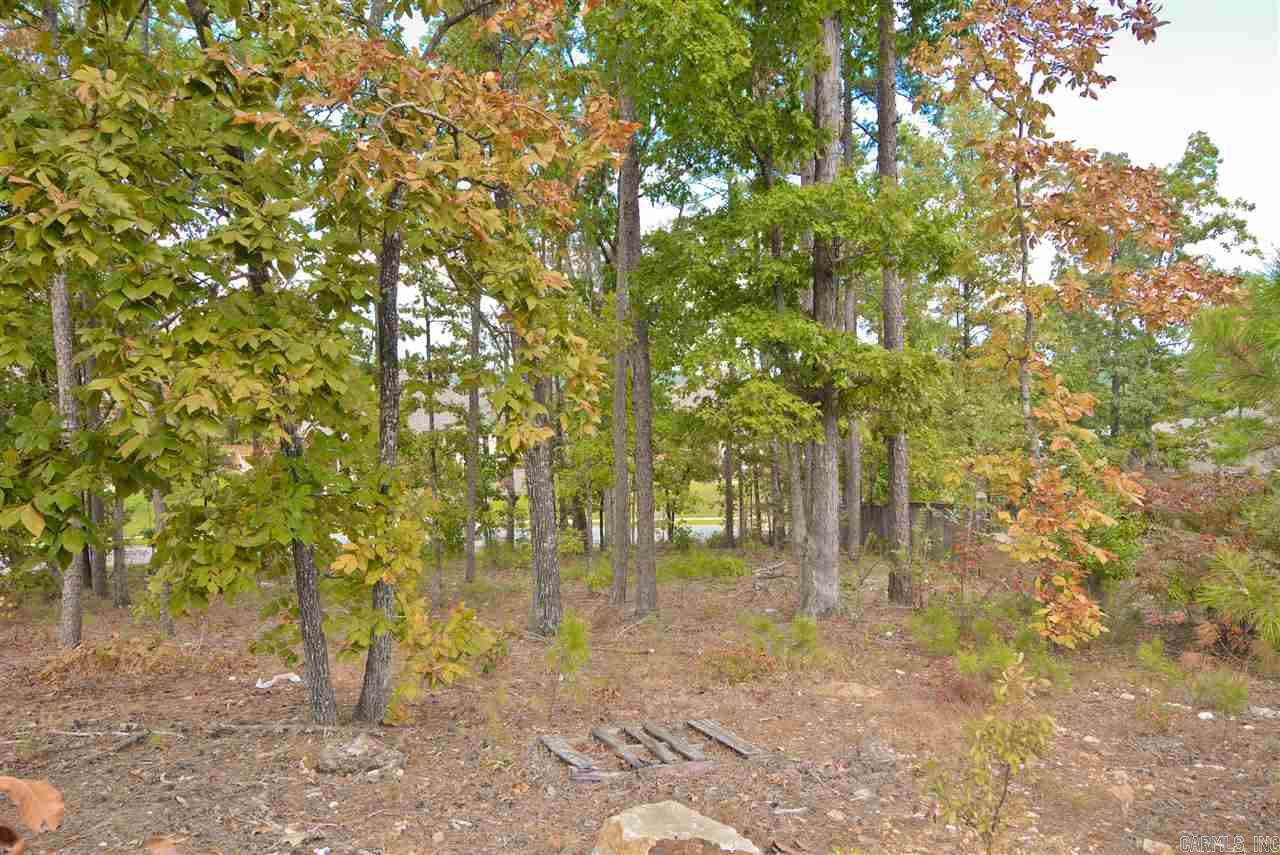 CHENAL VALLEY SEZANNE COURT - Land