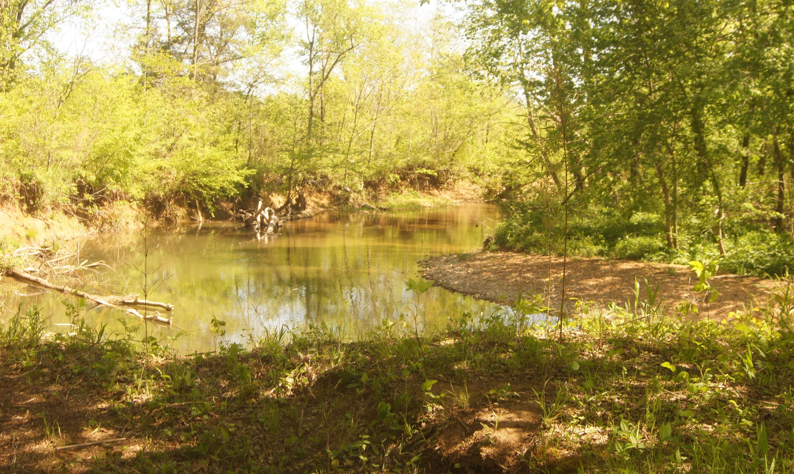 Enjoy the tranquility of nature while still being close to convenience. This 5-acre M/L property offers a blend of privacy and accessibility, making it an ideal retreat for those seeking a peaceful escape. Located near the highway, commuting is a breeze, yet the property feels secluded with its picturesque Martin Creek frontage. The gently flowing creek adds a serene touch to the landscape, offering opportunities for fishing, kayaking, or simply enjoying the sounds of nature. The land boasts some truly stunning views, with rolling hills and lush greenery creating a picturesque backdrop. Whether you're looking to build your dream home, create a recreational haven, or simply invest in a piece of land with great potential, this property is worth considering. Embrace the beauty of the outdoors while enjoying the convenience of modern living. Schedule a viewing today and discover the possibilities that await you on this idyllic 5-acre retreat. Creek frontage is approx. 351'.