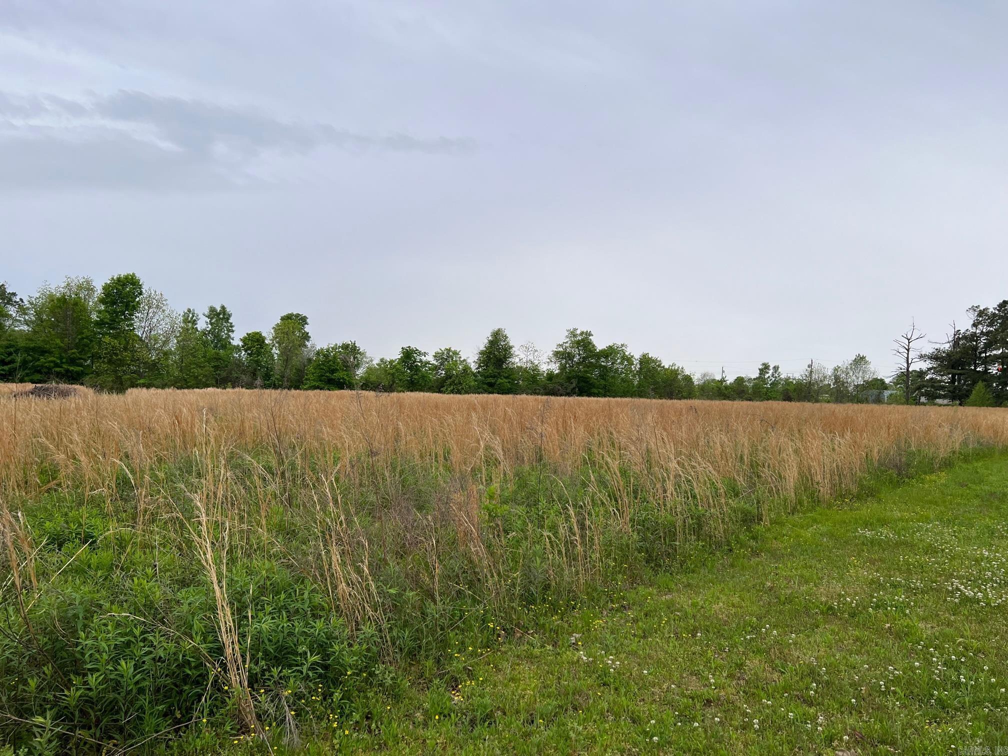 3.9 level pretty acres ready to build on