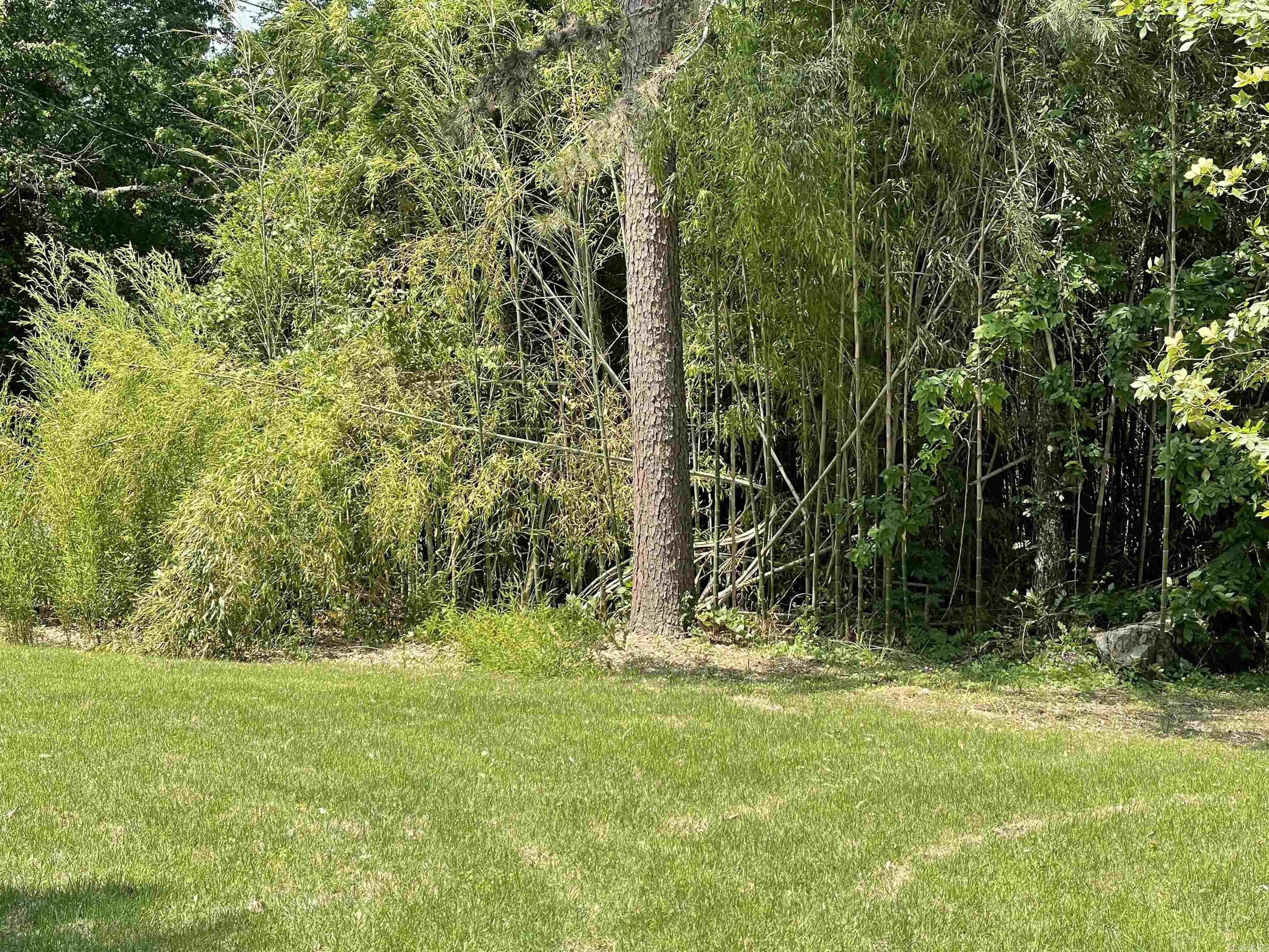 PINEY WOODS ESTATES - Residential