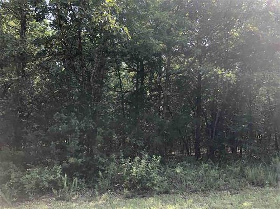 Near Crown Lake, Endless Possibility Awaits - Discover a prime homesite nestled in the scenic heart of Horseshoe Bend, Arkansas. Just moments from the sparkling waters of Crown Lake, this vacant lot offers an exceptional canvas for your dream home. Imagine peaceful lake breezes, quiet surroundings, and upscale living-all without the lakefront price. Build your legacy in a location where nature, leisure, and elegance converge.