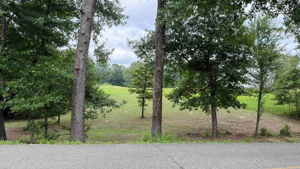 POINT VIEW RD, BENTON, AR 72015 - Image 9cd65e45da8cd7ecdf0a154f80beb8a3/960615816