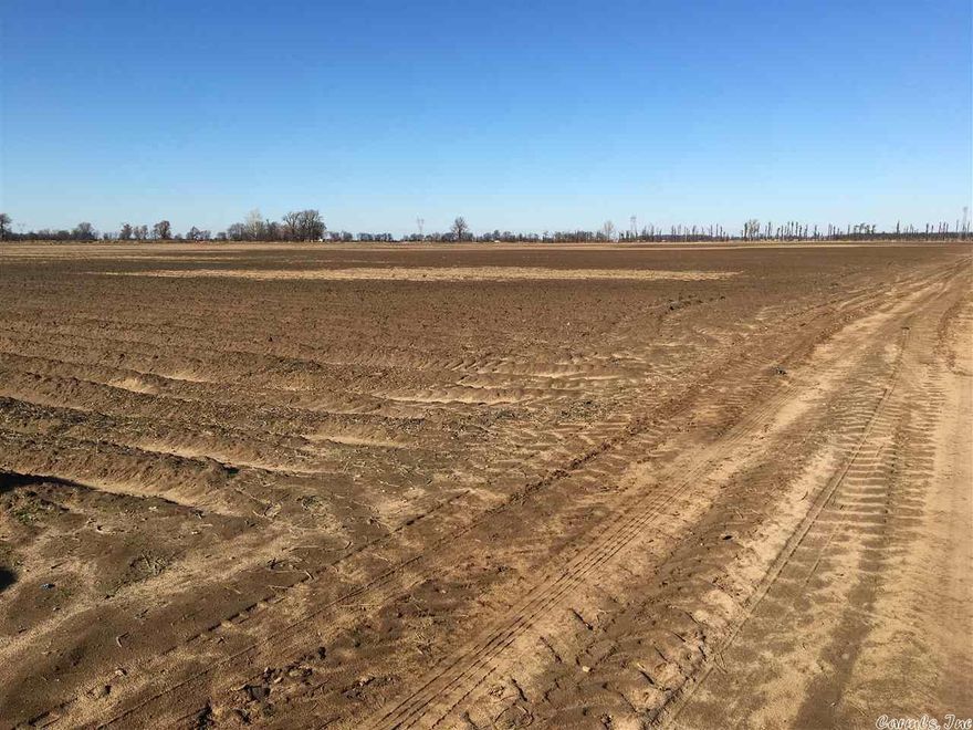 640 Acres of farmland located in Poinsett County.