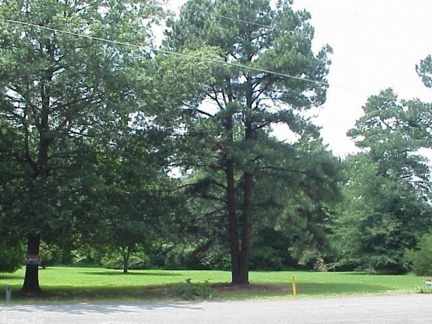 Most affordable residential lot in Lonoke to build your home!  Level lot with trees scattered on sides/rear/and to the front of property * 1/2 acre lot can also be purchased with adjacent 1/2 acre lot (MLS # 10390604) for 1 full acre at the reduced price of $11,700 * 75' frontage on Branch and 281' deep or 150' frontage by 281' deep when combined to make the 1 acre combo * some larger and newer homes nearby * close to W. Academy St. * Bring your builder and start building that dream home.