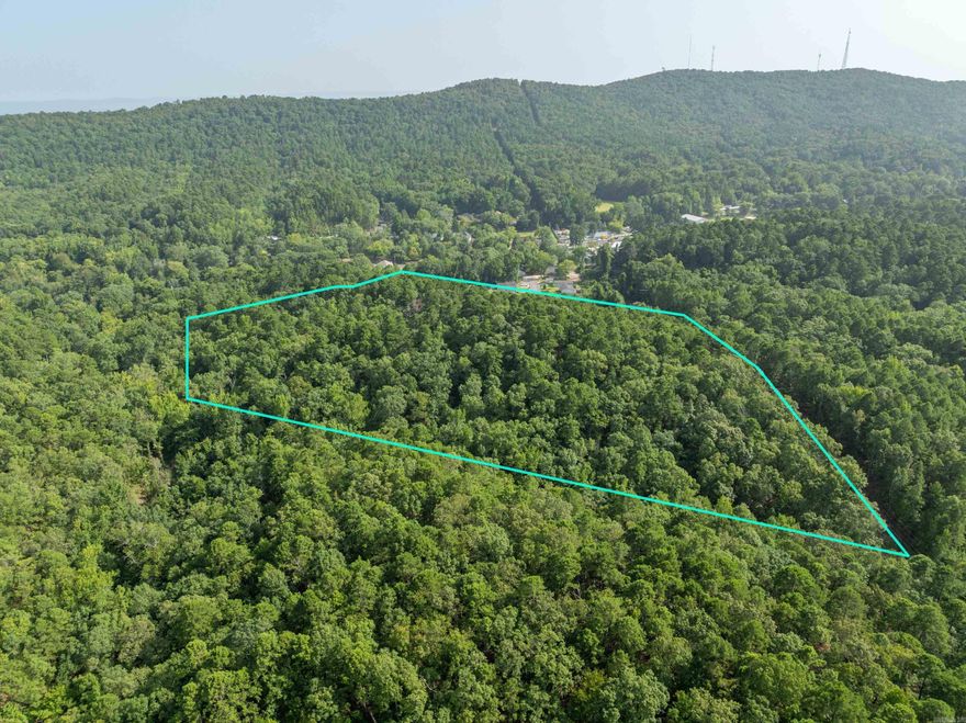Rare opportunity to own a Large 10.55 Acre tract of land near Downtown Hot Springs just off of Whittington Ave. close to Weyerhaeuser Corporate office. Perfect for a large Estate Home or Company Campus that wants to be in close proximity to Downtown Hot Springs. Priced extremely well for Investors! Property adjoins US Government Land.