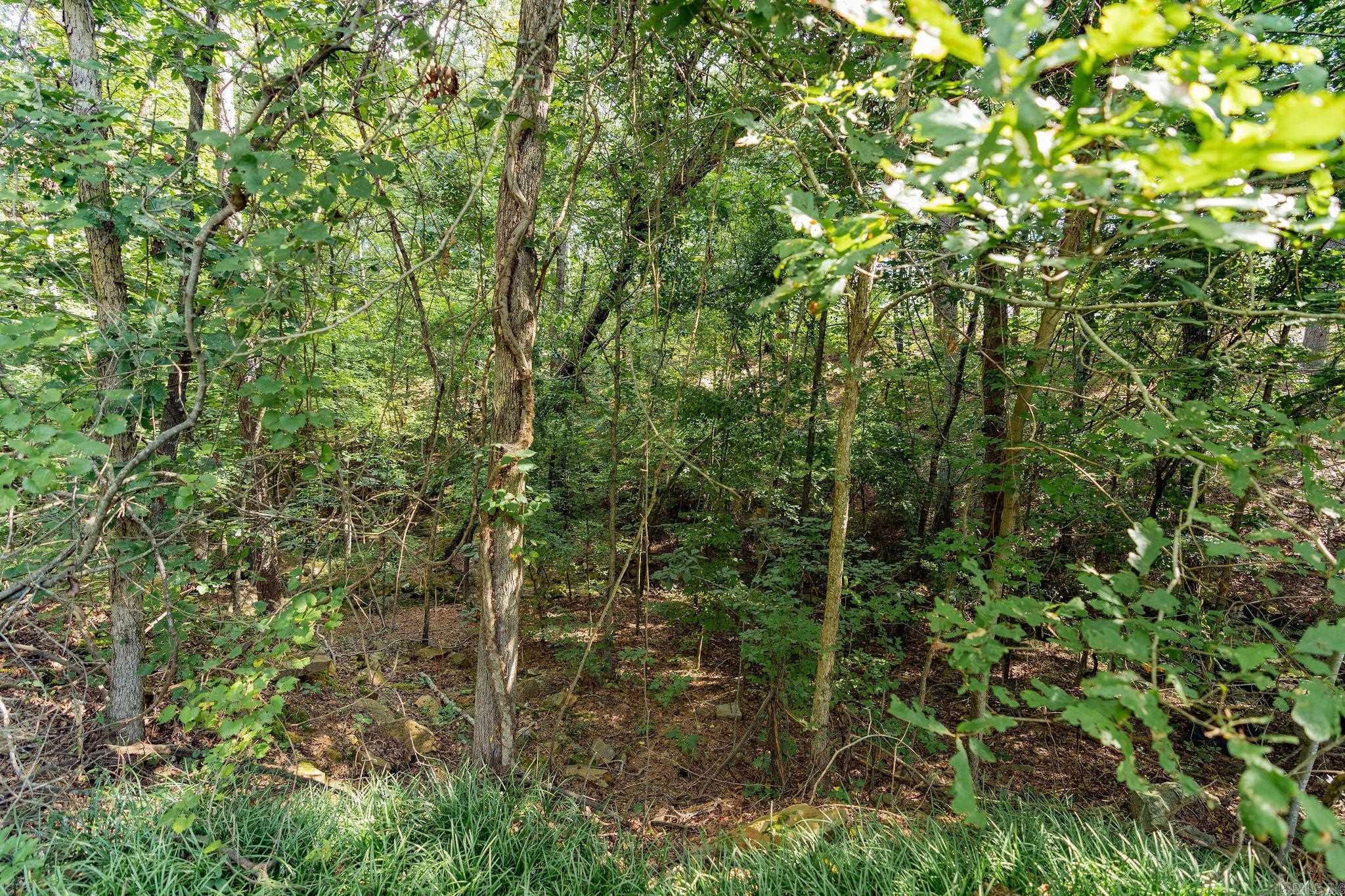 Little Red River Estates - Land