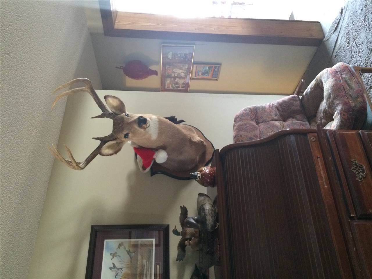 Horseshoe Lake - Residential