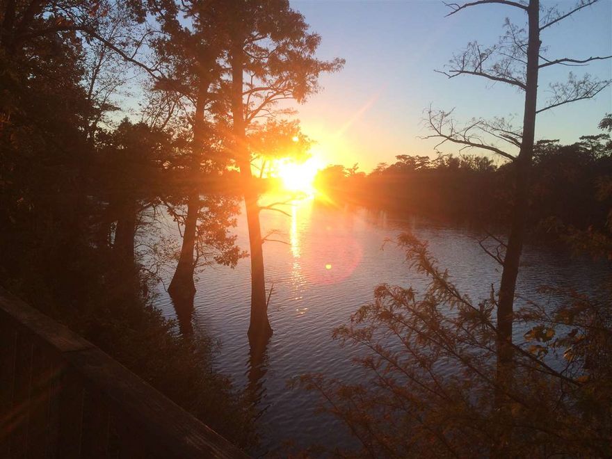 Great opportunity to own a lodge in a premier location for duck hunting right on the waters of Horseshoe Lake just south of Augusta, AR. If your a Cache River or Black Swamp hunter this place is ideally located to house you and or your friends and family. With 6 bedrooms and 3 full baths this place sleeps close to 30 people.Outside amenities include a wood privacy fence surrounding the huge front parking area to conceal and protect your trucks, boats, dogs and gear, a covered front porch, a screened in area