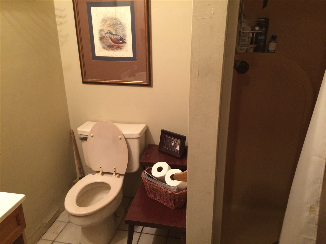 Horseshoe Lake - Residential