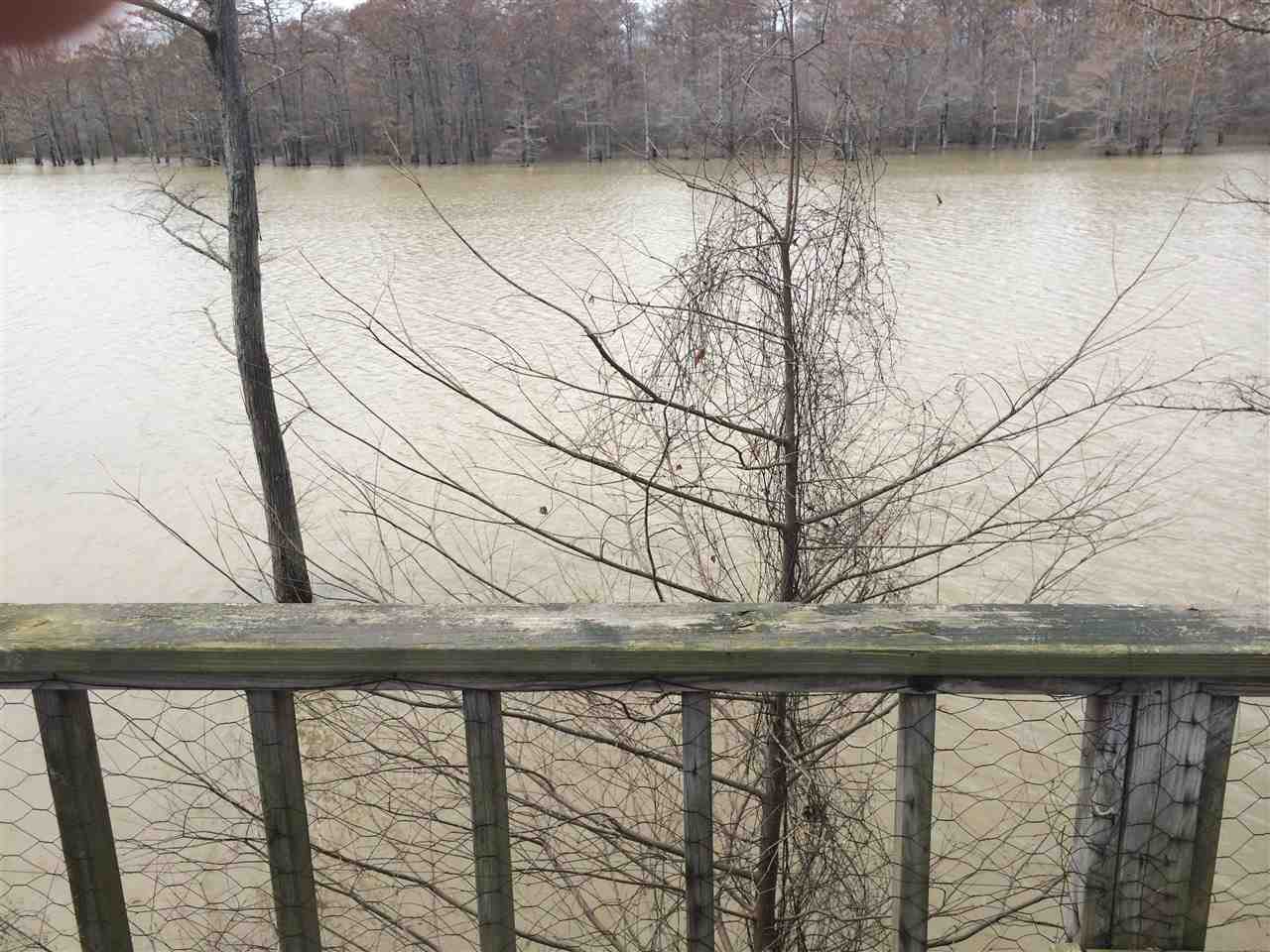 Horseshoe Lake - Residential