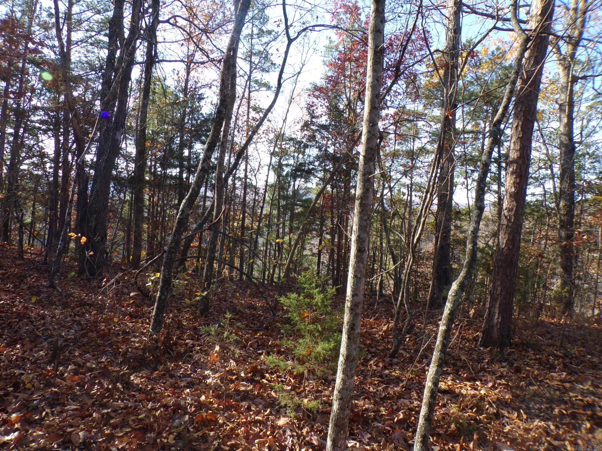 Heritage Oaks - Land