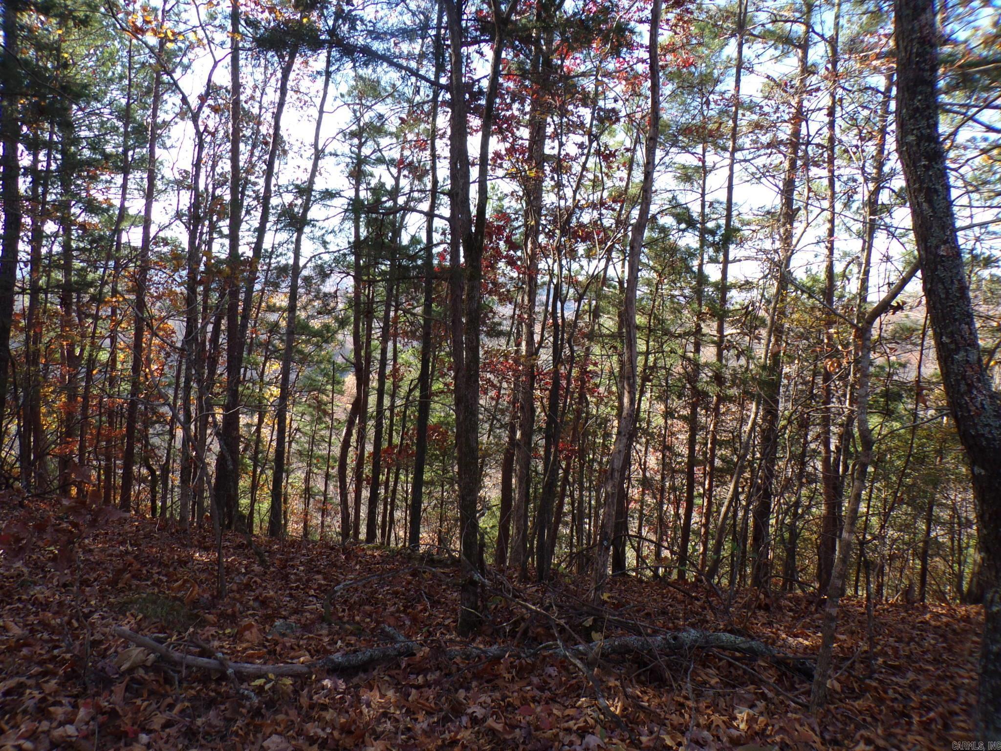 Heritage Oaks - Land