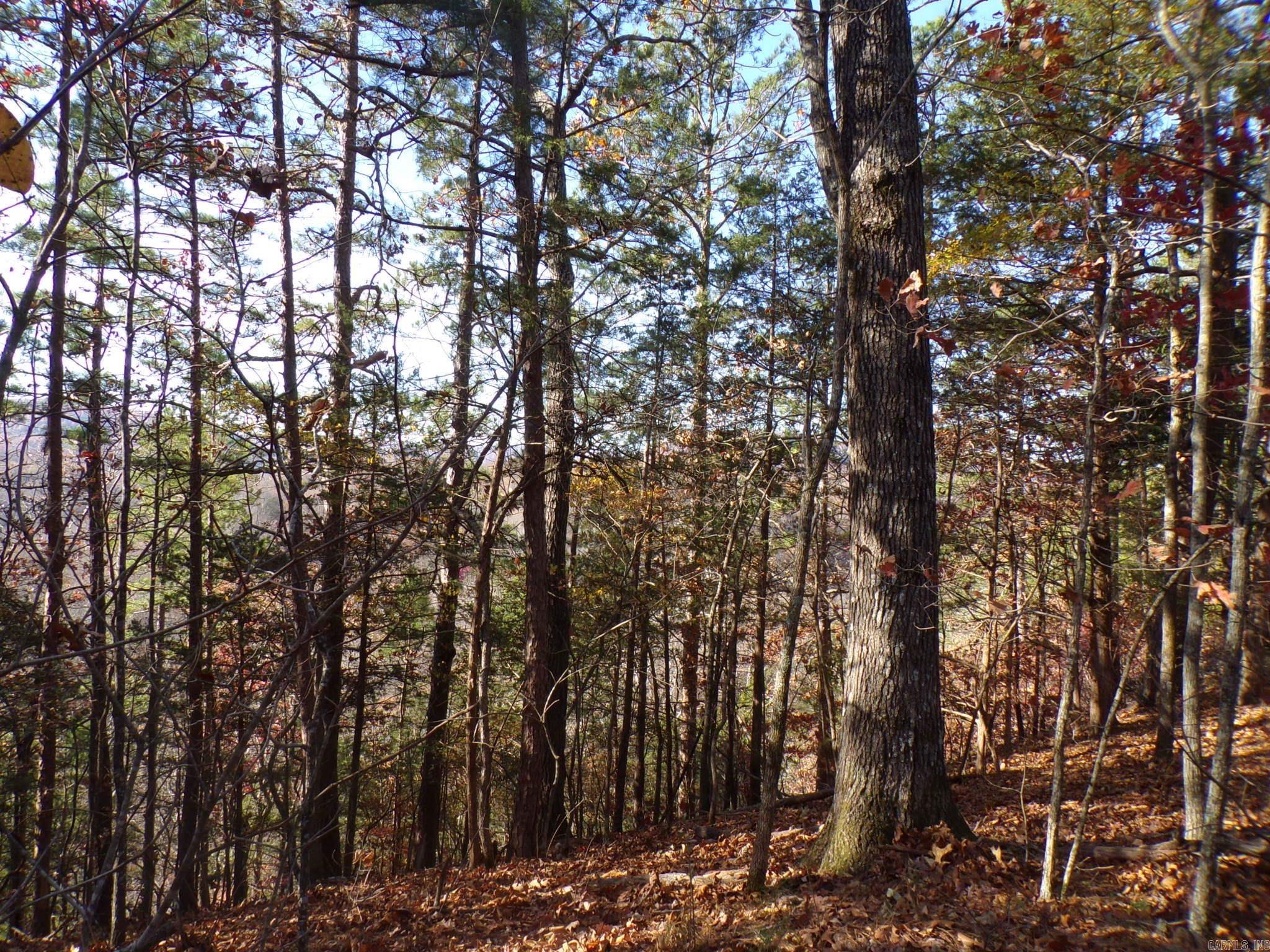 Heritage Oaks - Land