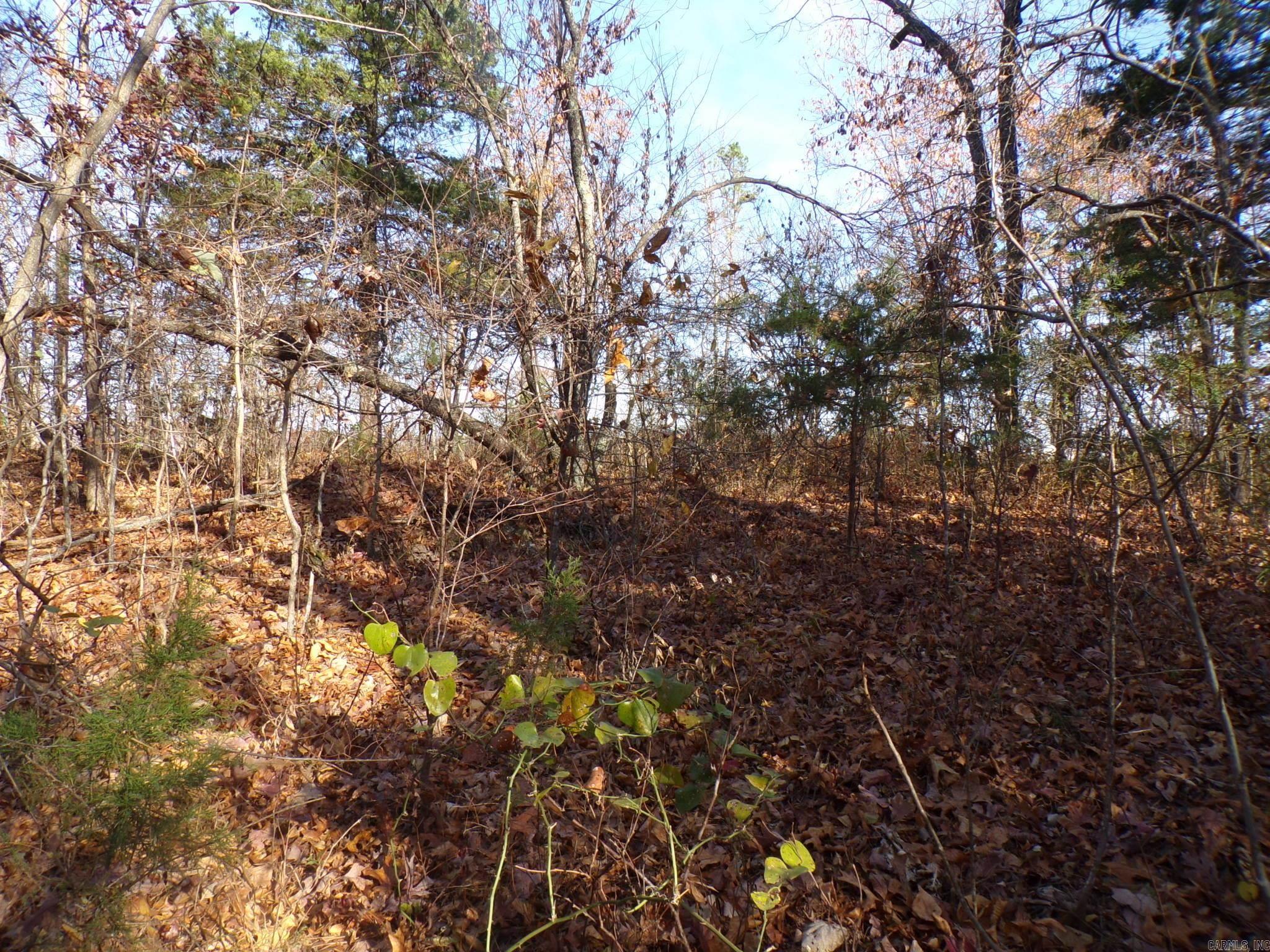 Heritage Oaks - Land