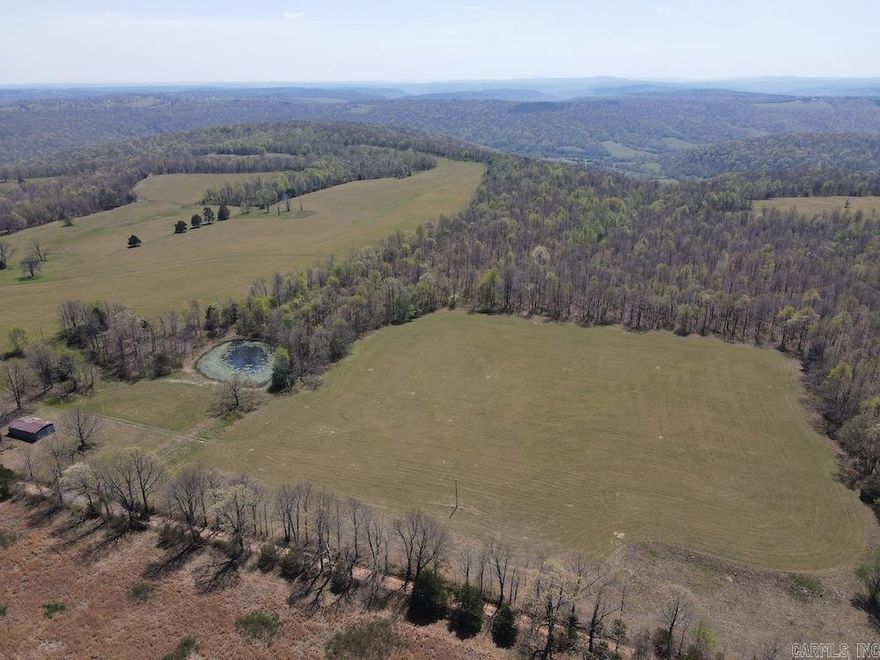 Rare unrestricted Ozark property near Leslie in Searcy County, Arkansas, offering a prime mix of hunting, farming, and recreation. Easily accessible from a county road, the land features about 50 acres of established, high-yield hay fields ready for immediate income or self-sufficient living. Power runs along the north boundary, allowing flexible build sites with scenic views of rolling fields and mature hardwood timber. A large pond, seasonal springs, and diverse terrain, including wooded draws, bluffs, and rock outcroppings, create excellent wildlife habitat and stunning natural character. The property is loaded with deer and turkey, with ideal hunting setups throughout. Marketable timber adds future value, while an existing hay barn provides storage or workspace. Located near Mountain View, Marshall, and Clinton, and close to the Ozark National Forest, Buffalo National River, White River, and Blanchard Springs Caverns, this tract combines privacy with convenient access to outdoor adventure. A versatile, high-quality property perfect for farming, hunting, building, or investing.