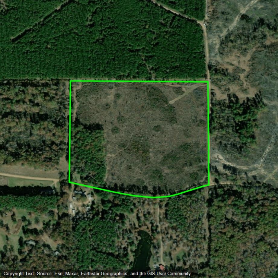 Approximately 38 acres of previously harvested timberland on Madison Road.