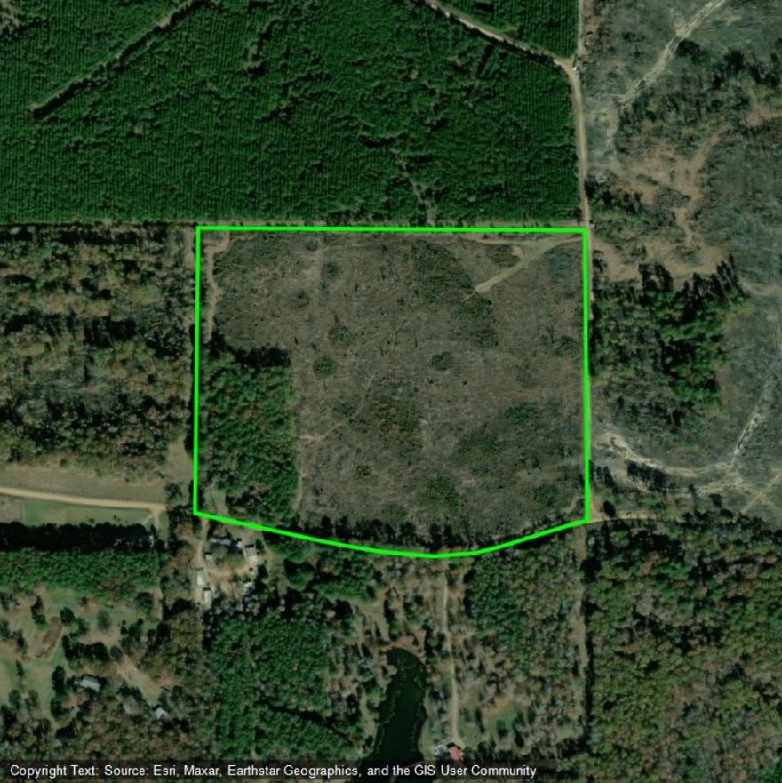 Approximately 38 acres of previously harvested timberland on Madison Road.