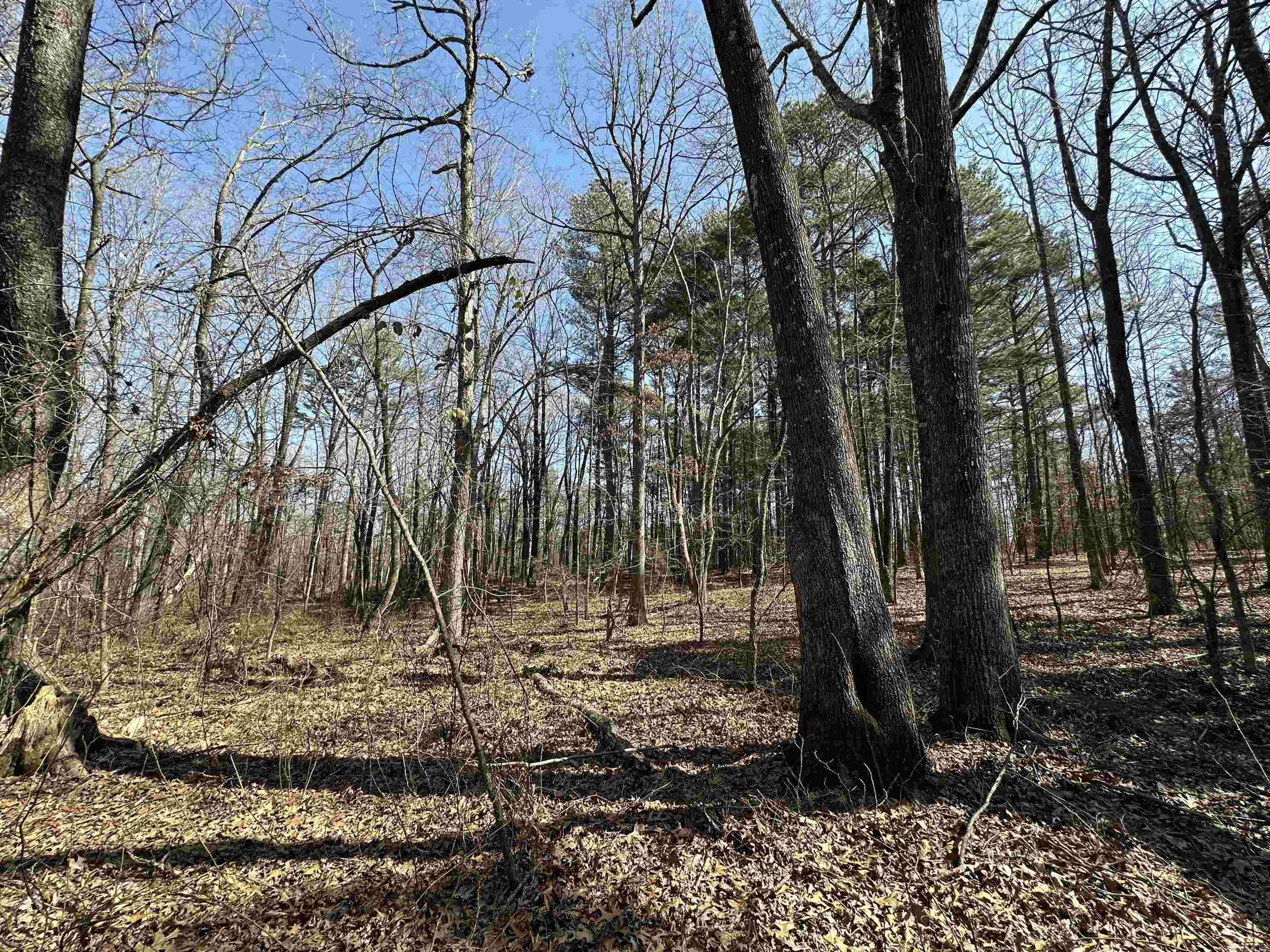 Metes & Bounds - Land