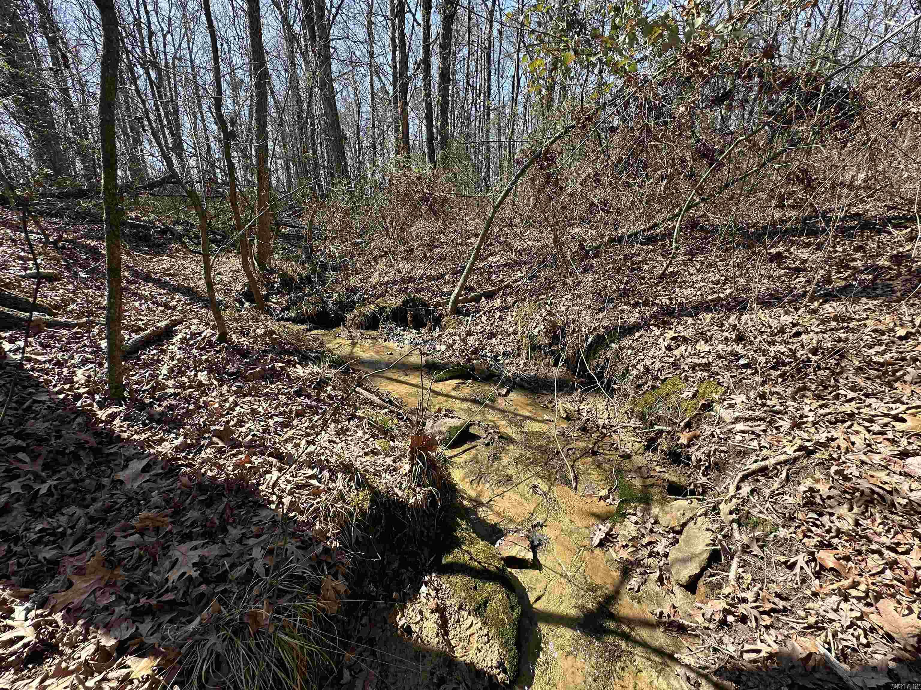 Metes & Bounds - Land