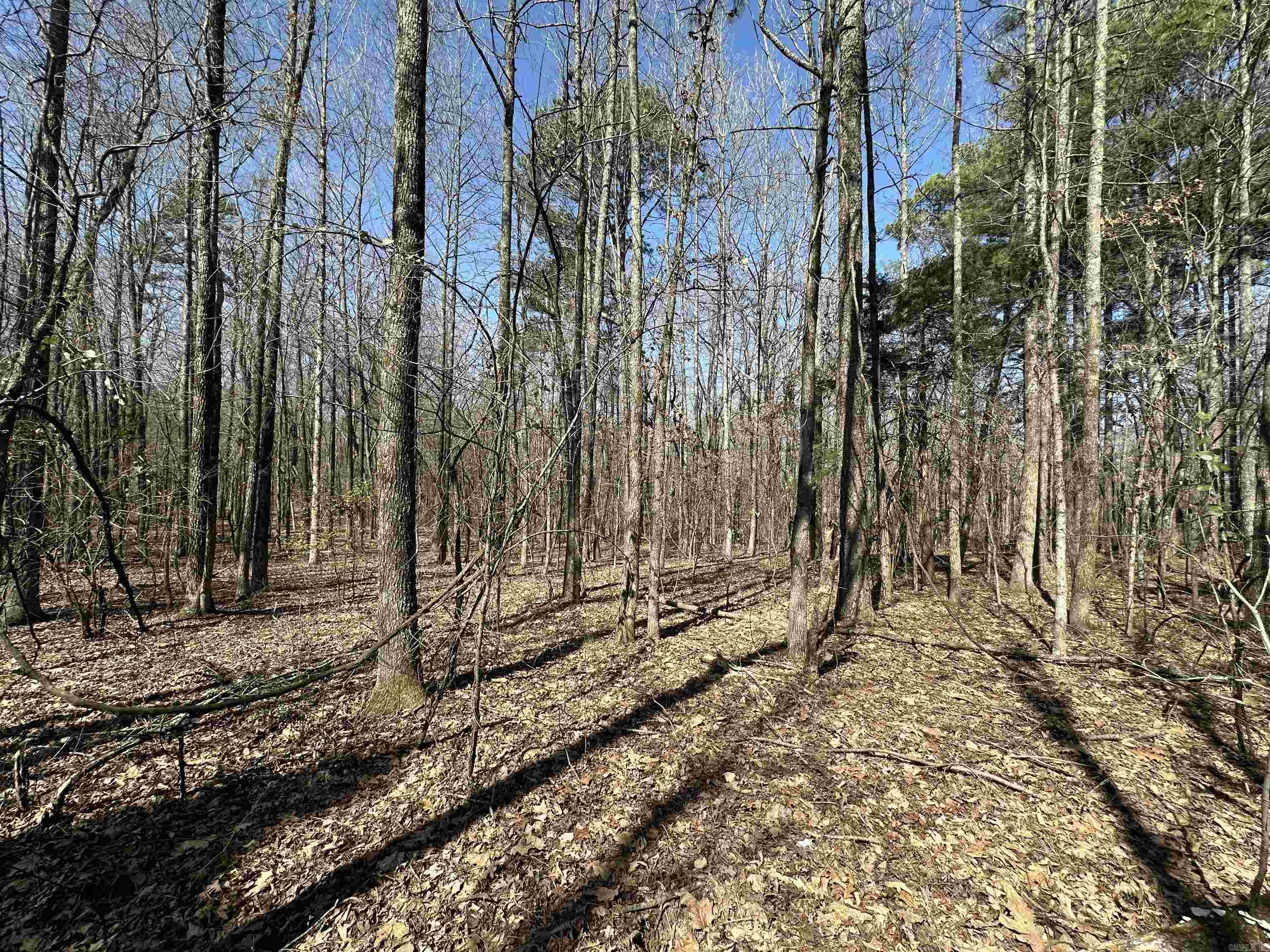 Metes & Bounds - Land