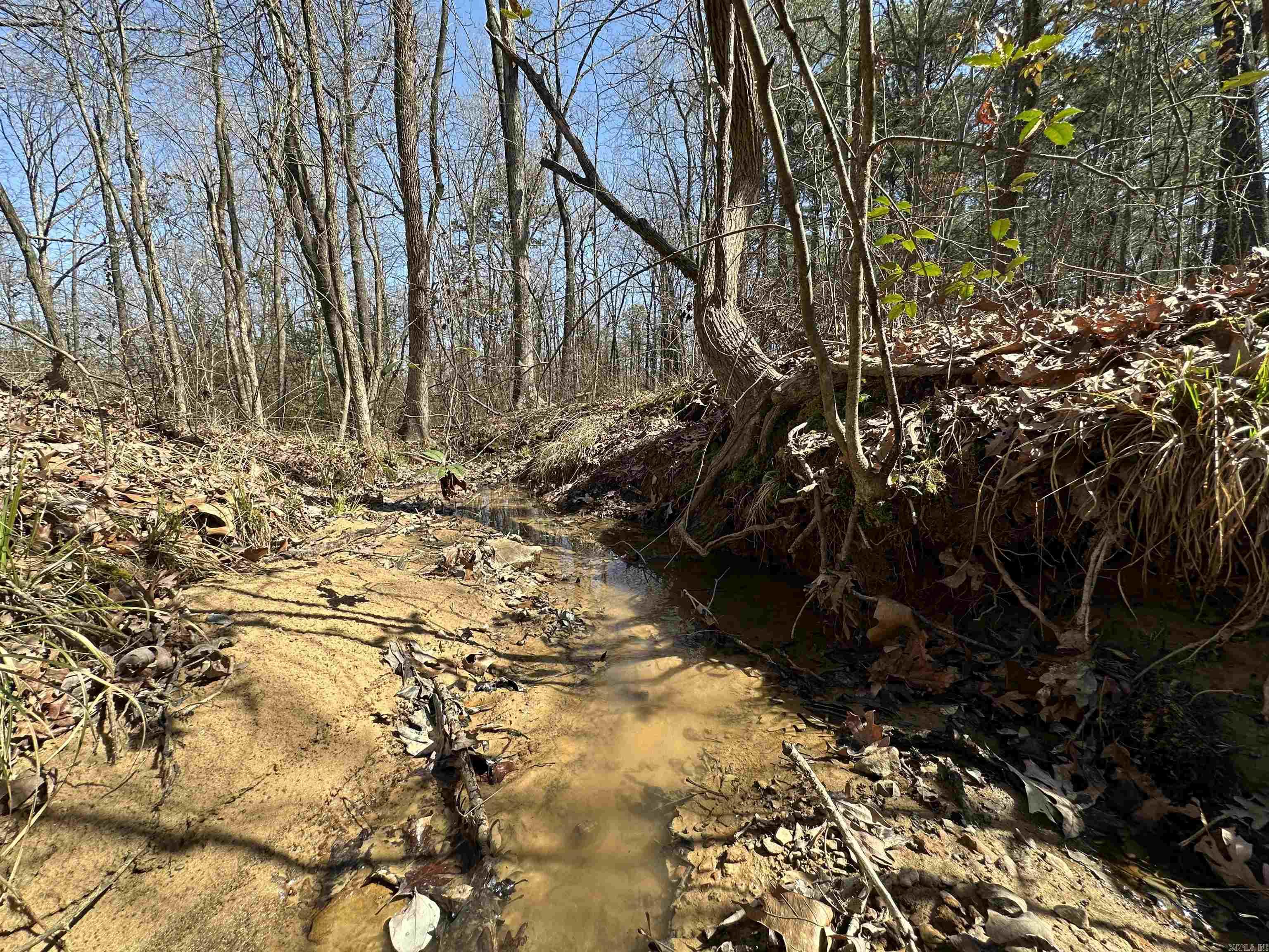 Metes & Bounds - Land