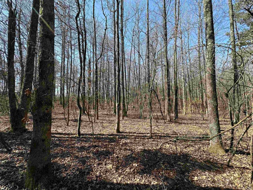 Discover the perfect blend of privacy and opportunity with this 10+/- acre wooded property located on Pine Grove Road near Floral, AR in Independence County. Whether you're looking for a secluded home site, a recreational retreat, or a prime hunting property, this unrestricted land offers endless possibilities. With paved road access on Pine Grove Road, getting to your property is easy and convenient. The land is completely wooded, providing a natural, untouched landscape ideal for those seeking tranquility, outdoor adventure, or a private escape. Whitetail deer and other wildlife are abundant, making this an excellent spot for hunting enthusiasts. A wet-weather creek is on the property. One of the standout features of this level property is that mineral rights will convey to the new owner—an added benefit that increases its long-term value. With no restrictions on use, you have the freedom to build your dream home, set up a hunting camp, or use the land however you see fit. At just $35,000, this is an incredible opportunity to own your own piece of the Arkansas wilderness. Don’t miss out on this affordable and versatile property!
