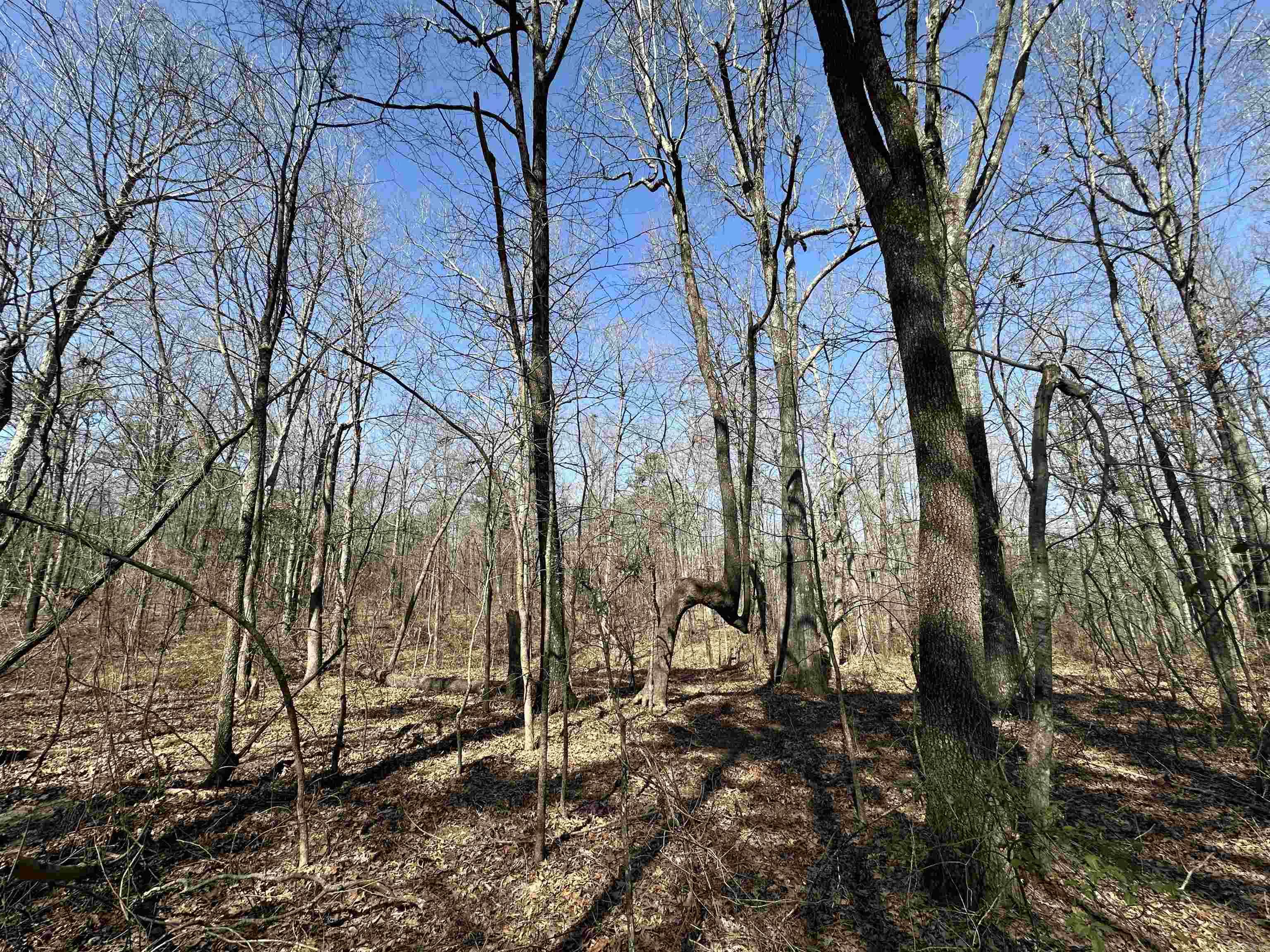 Metes & Bounds - Land